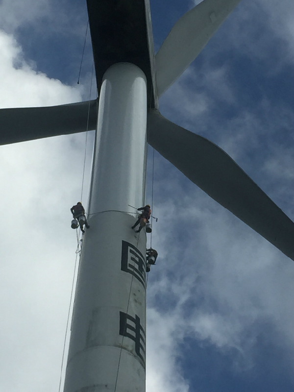 美化家居：探索煙囪美化公司的妙用